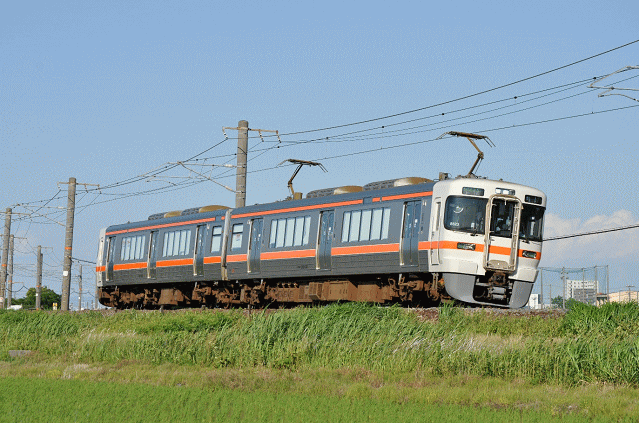 白鳥信号所にて313系電車