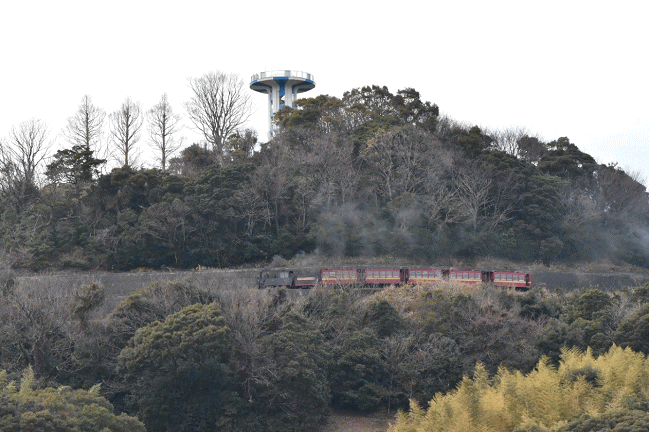 名鉄蒲郡線こどもの国駅ホームから、こども汽車の姿を眺める