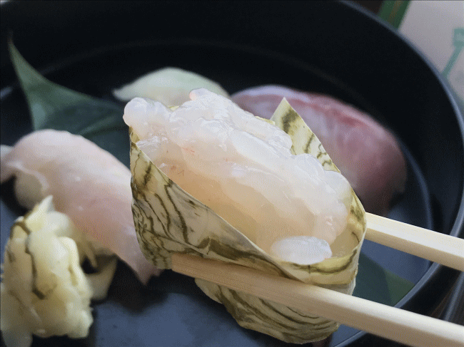 ぷち富山湾鮨セットの白えびのお寿司