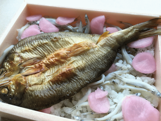 琵琶湖の鮎・氷魚ごはんと一夜干しの鮎の干物
