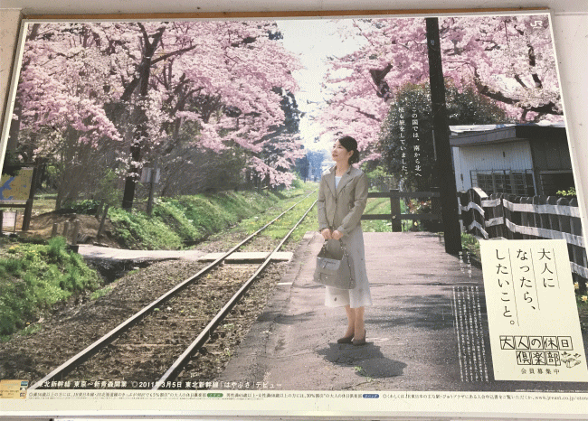 芦野公園駅の桜