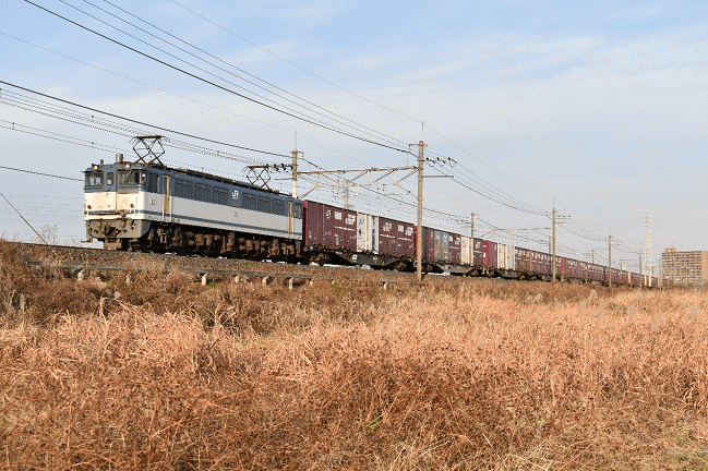 東浦和の撮影地でEF65コンテナ列車