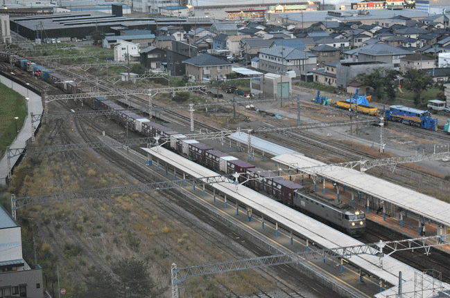 「銀ガマ」ことEF510-509牽引の貨物列車