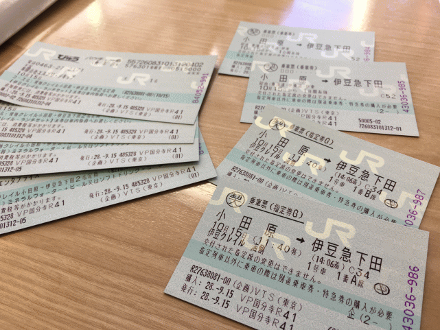 伊豆クレイルの乗車券と料理のチケット