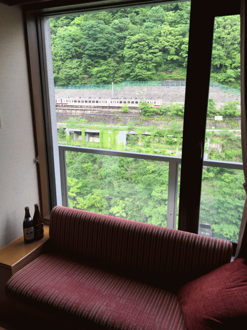 鬼怒川温泉ホテルからのトレインビュー