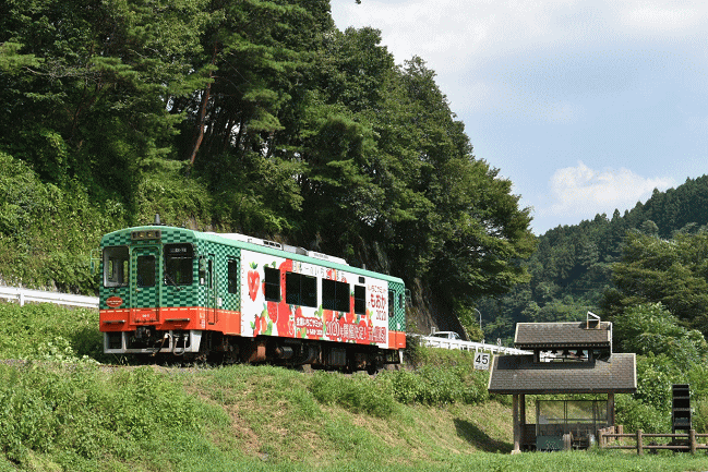 「道の駅もてぎ」敷地の東端で真岡鉄道を撮影