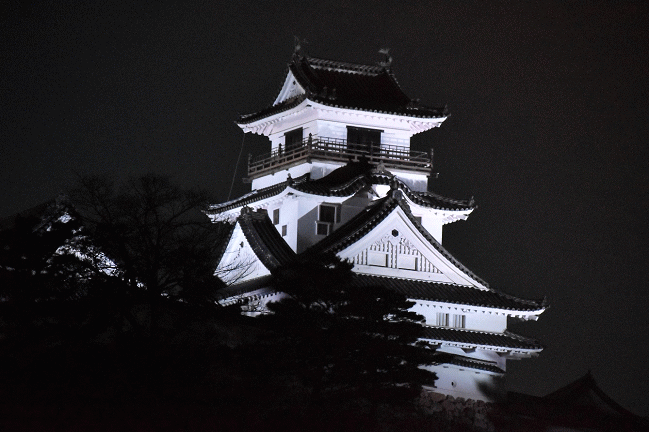 高知県立高知城歴史博物館３階から撮影した高知城天守閣