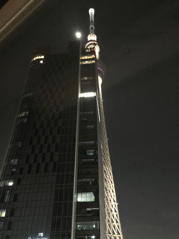 リッチモンドホテルプレミア東京押上のプレミアツインから見る東京スカイツリーの夜景