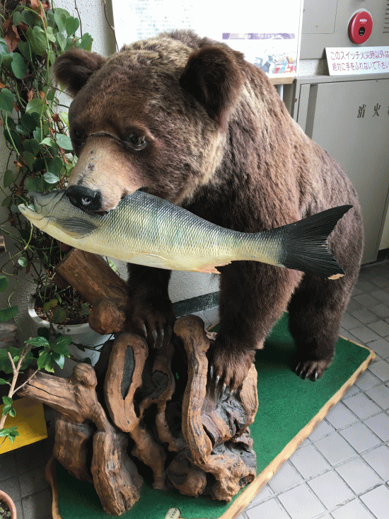 留萌駅の熊のはく製の置物