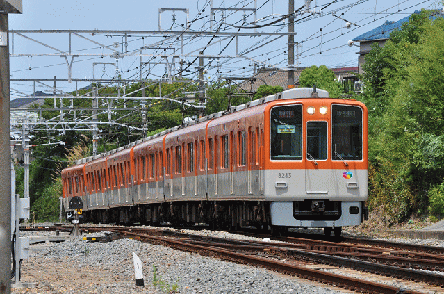 阪神電鉄直通の特急電車