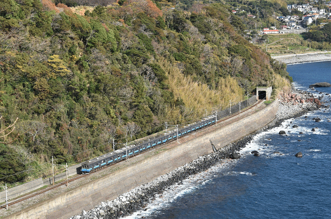 志津摩海岸の絶景の撮影地から撮影する伊豆急行の8000系