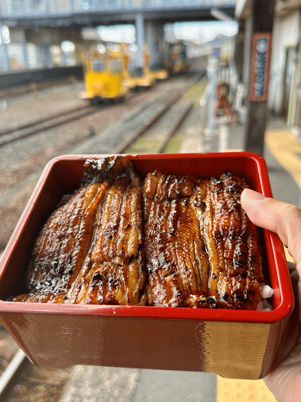 「浜名湖鰻専門店 駅のうなぎ屋 やまよし」のうな重